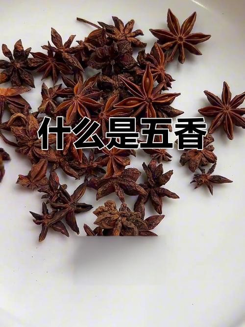 五香到底有哪些？原来这几种香料才是关键！