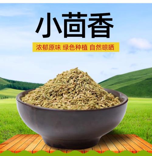 小茴香 火锅卤肉的灵魂香料，家用调味的不二之选